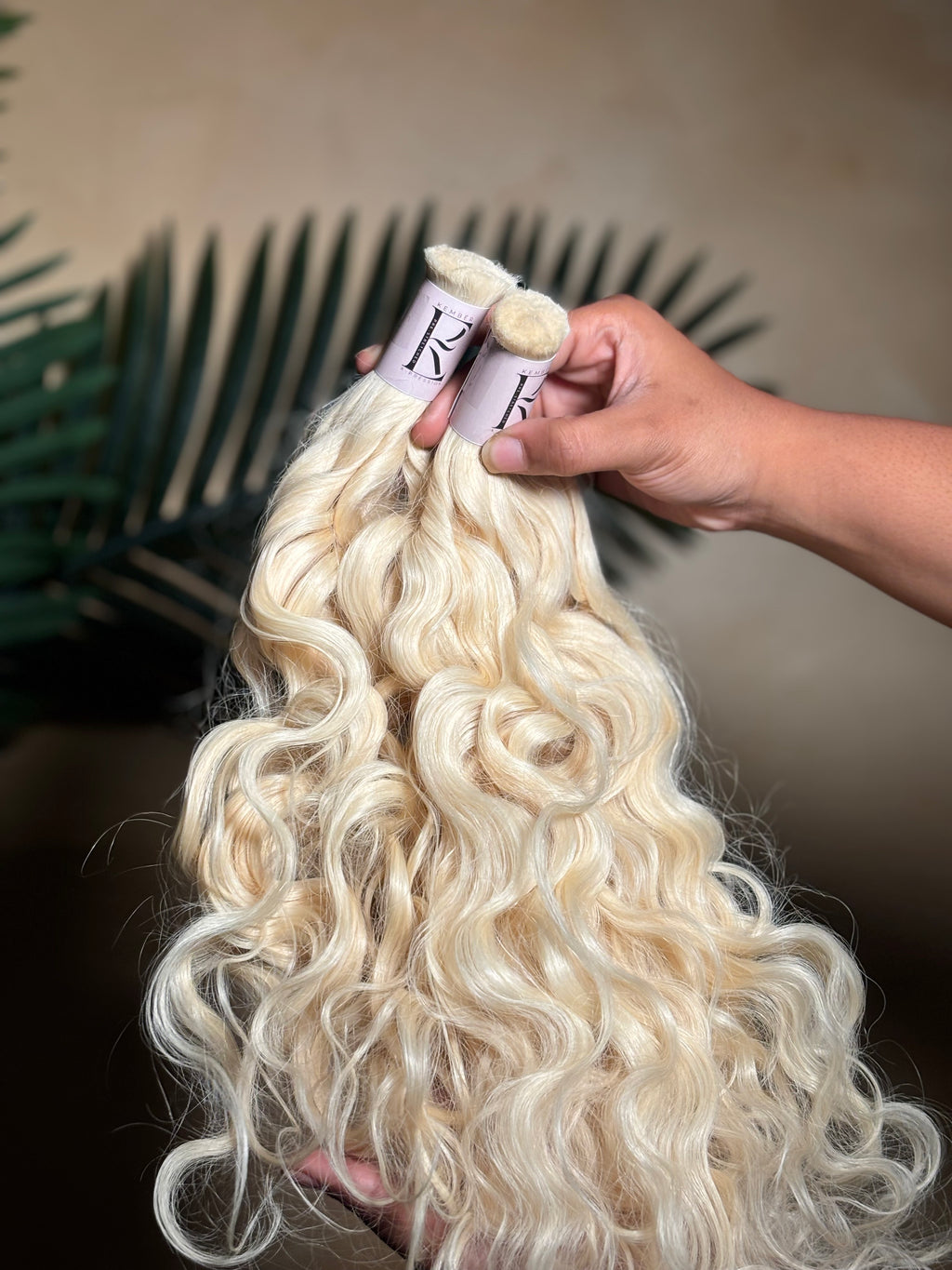 Raw Indian Wavy (Bulk)