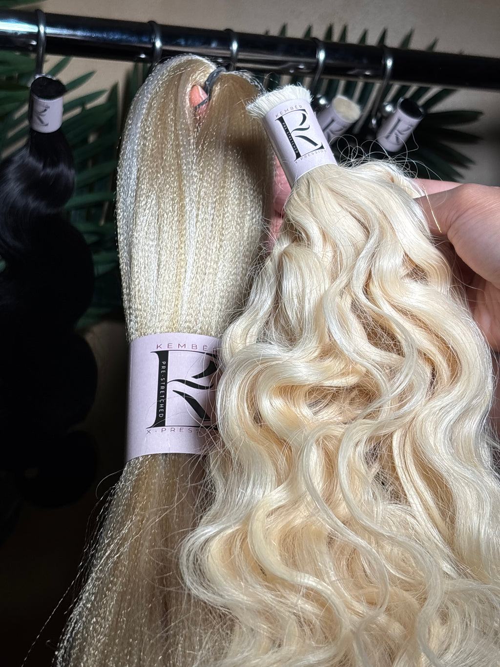 Kember Collection Bundle (Raw)