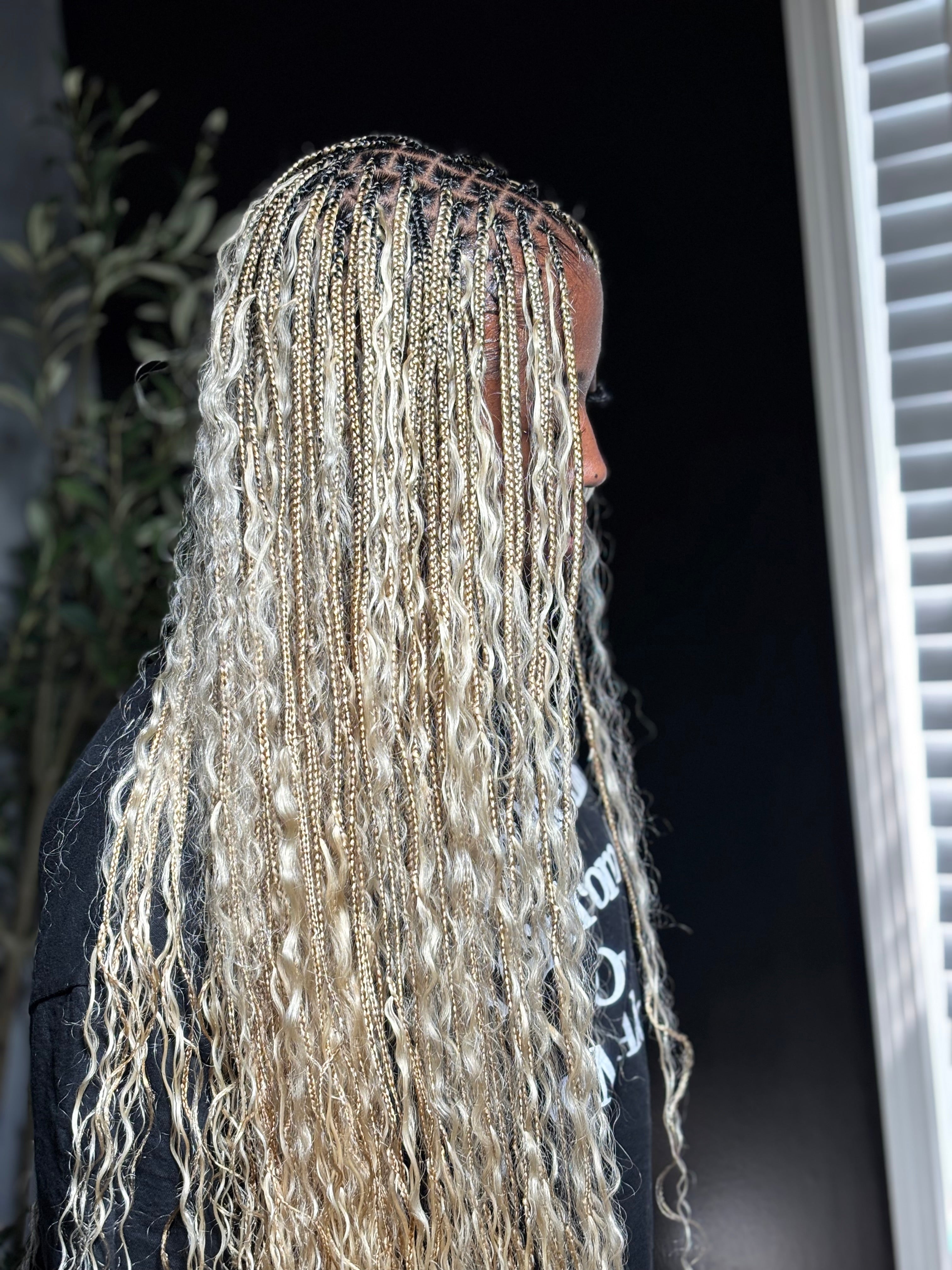 Kember Collection Bundle (Brazilian)