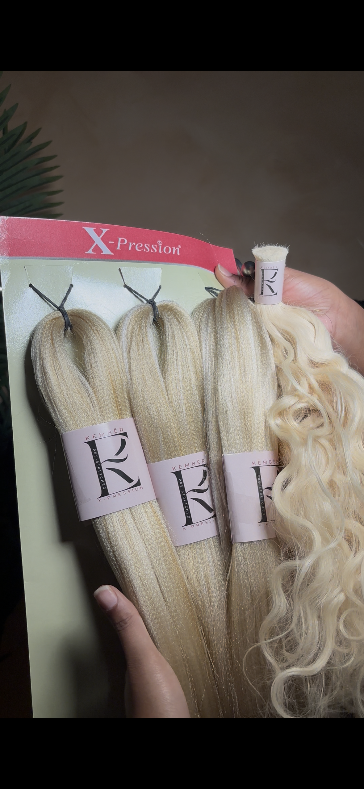 Kember Collection Bundle (Raw)