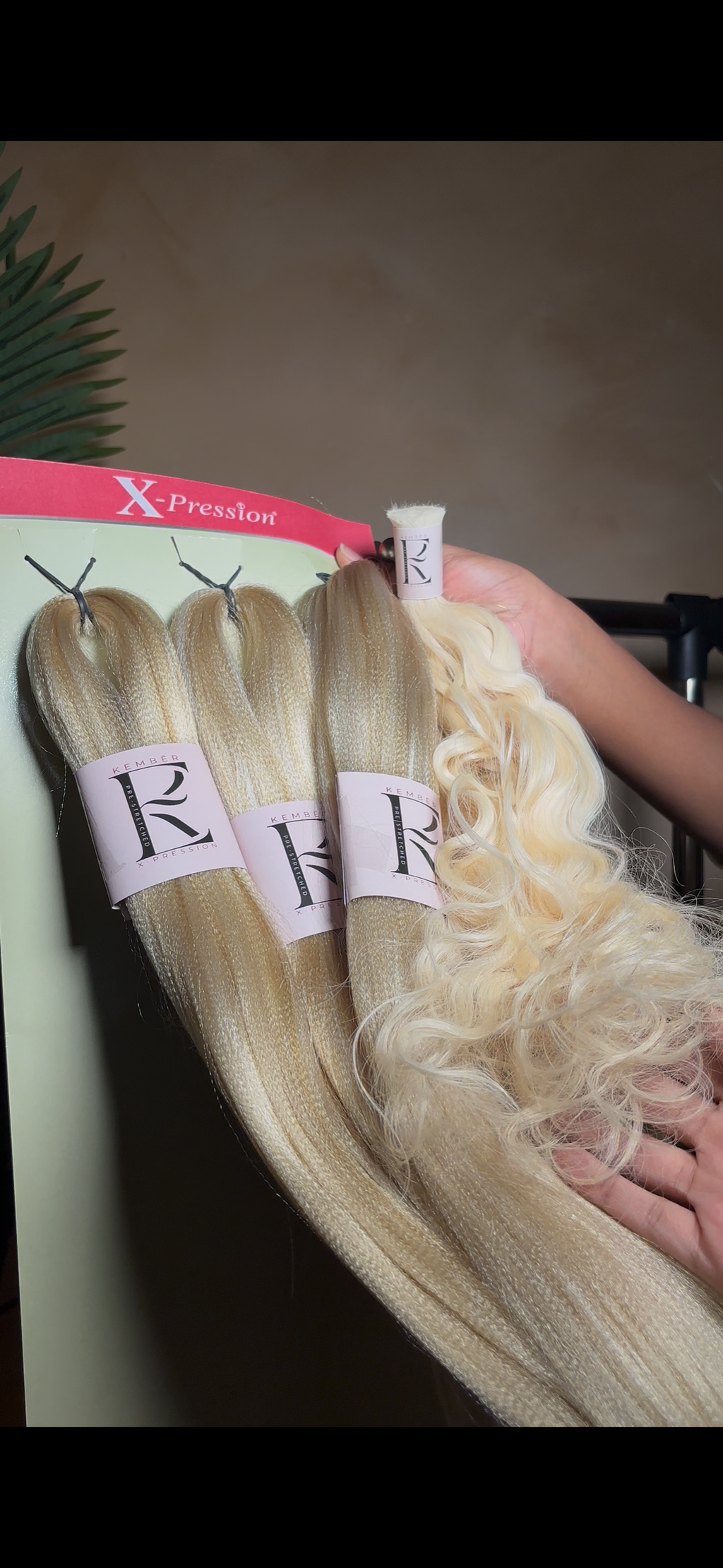 Kember Collection Bundle (Raw)